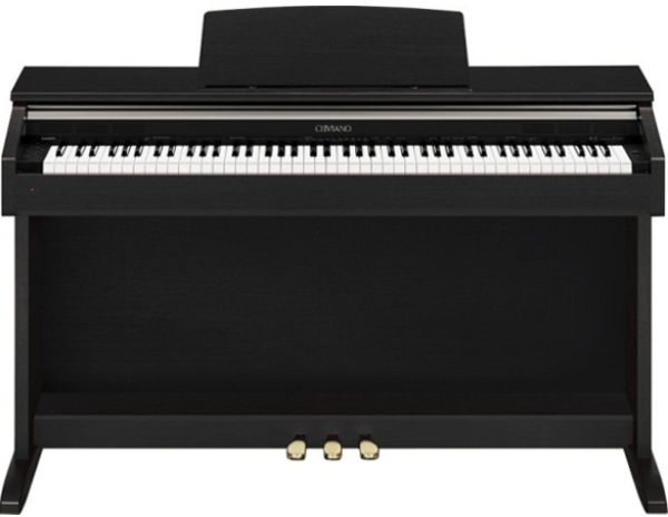 Casio AP220BK
