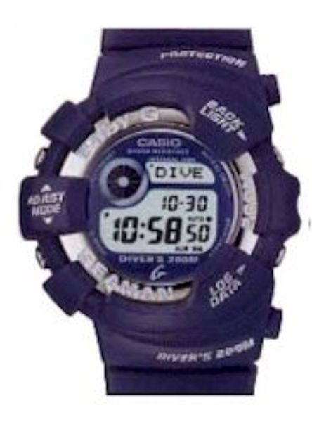 Casio BGW101-2V