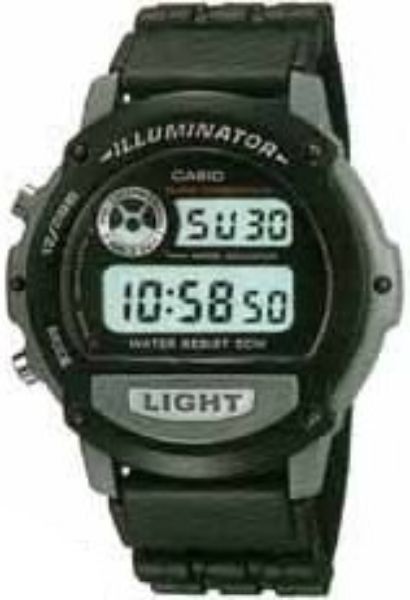 Casio W87H-1V