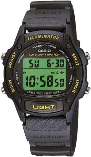 Casio W93H-2AV