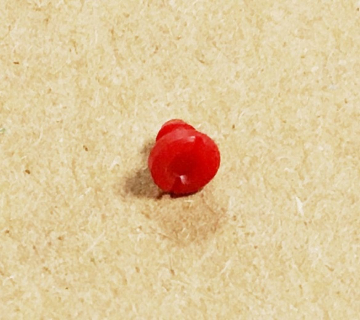 10414774.jpg