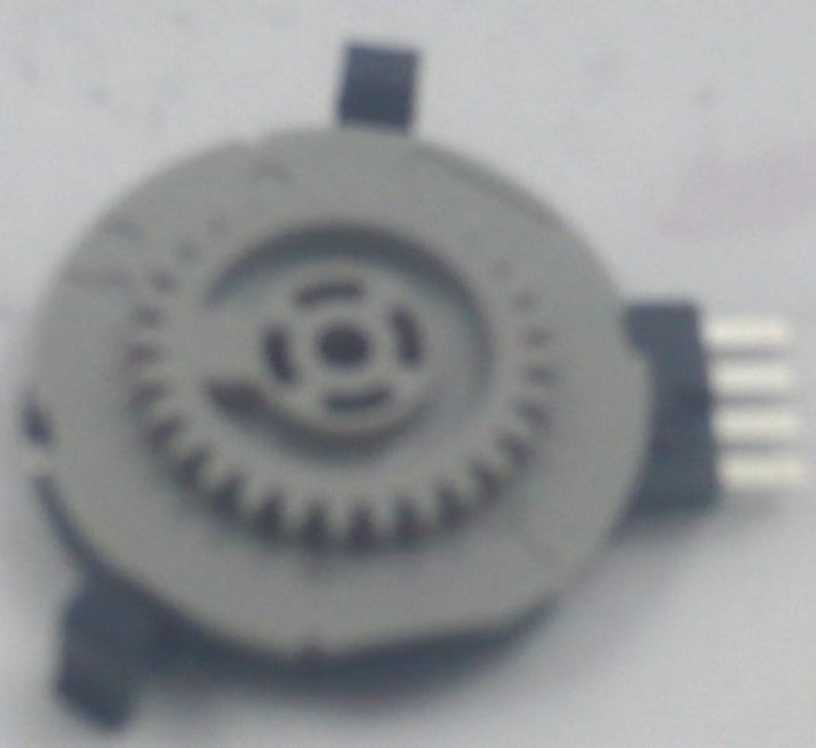 013395132.jpg